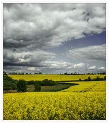 Mecklenburger Landschaft