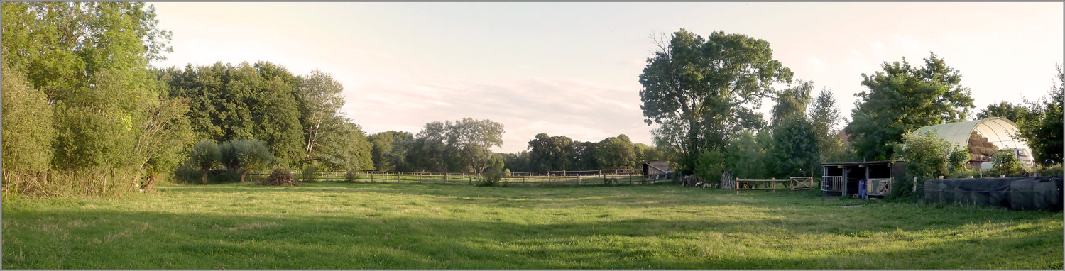 Mecklenburger Landschaft (bei Plau) in der Abendsonne