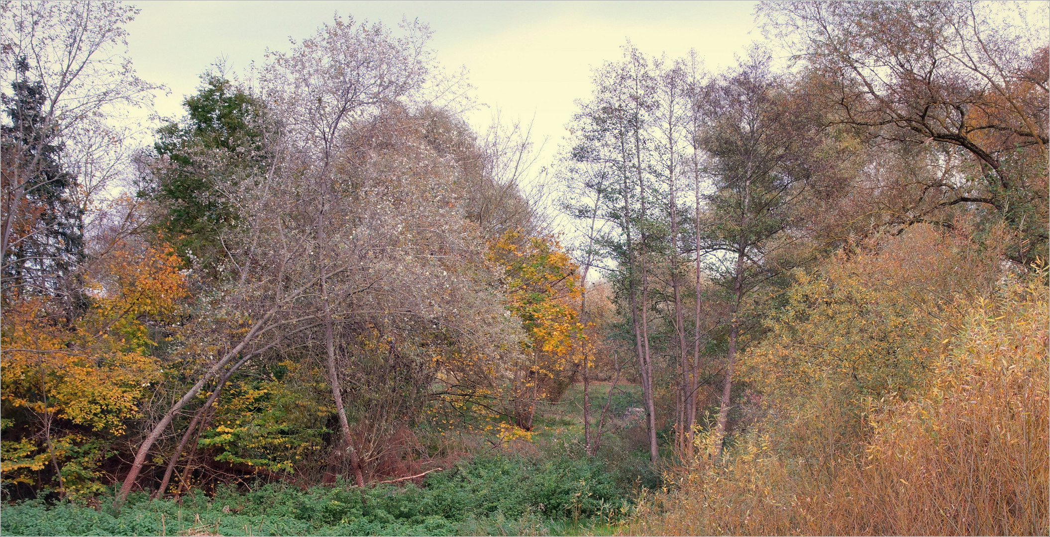 mecklenburger landschaften 11