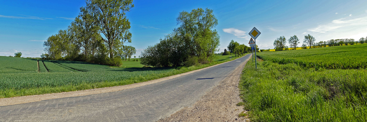 Mecklenburger Landstrasse Foto & Bild naturpanorama, naturkreativ