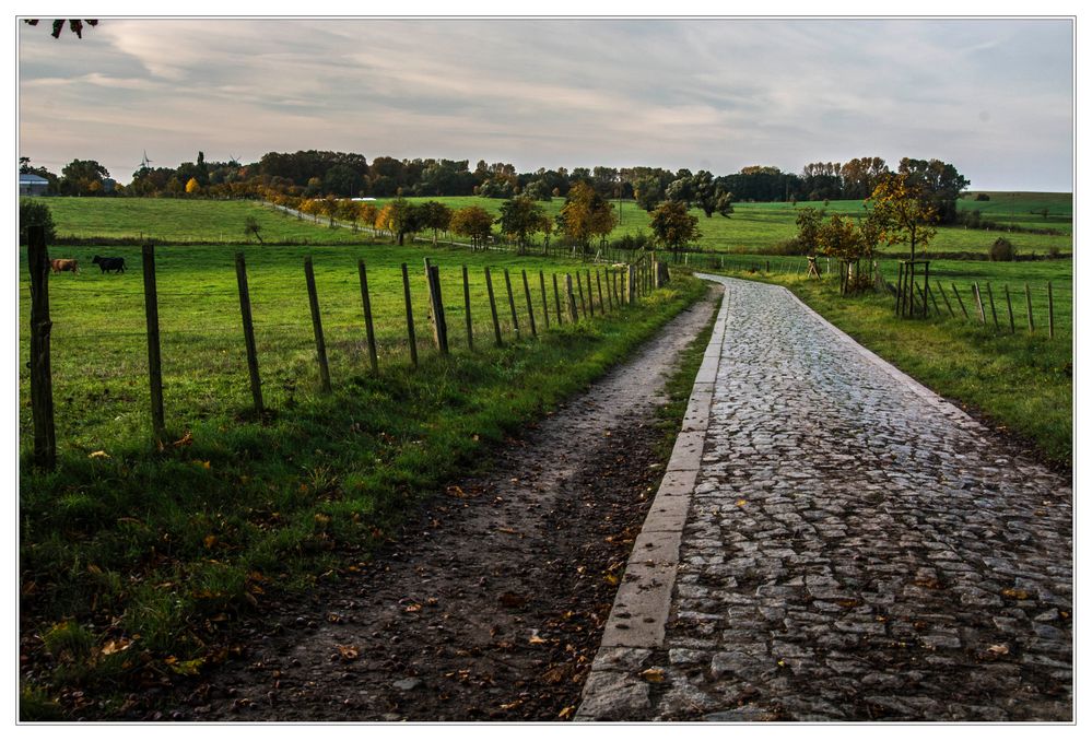 Mecklenburger Landstraße