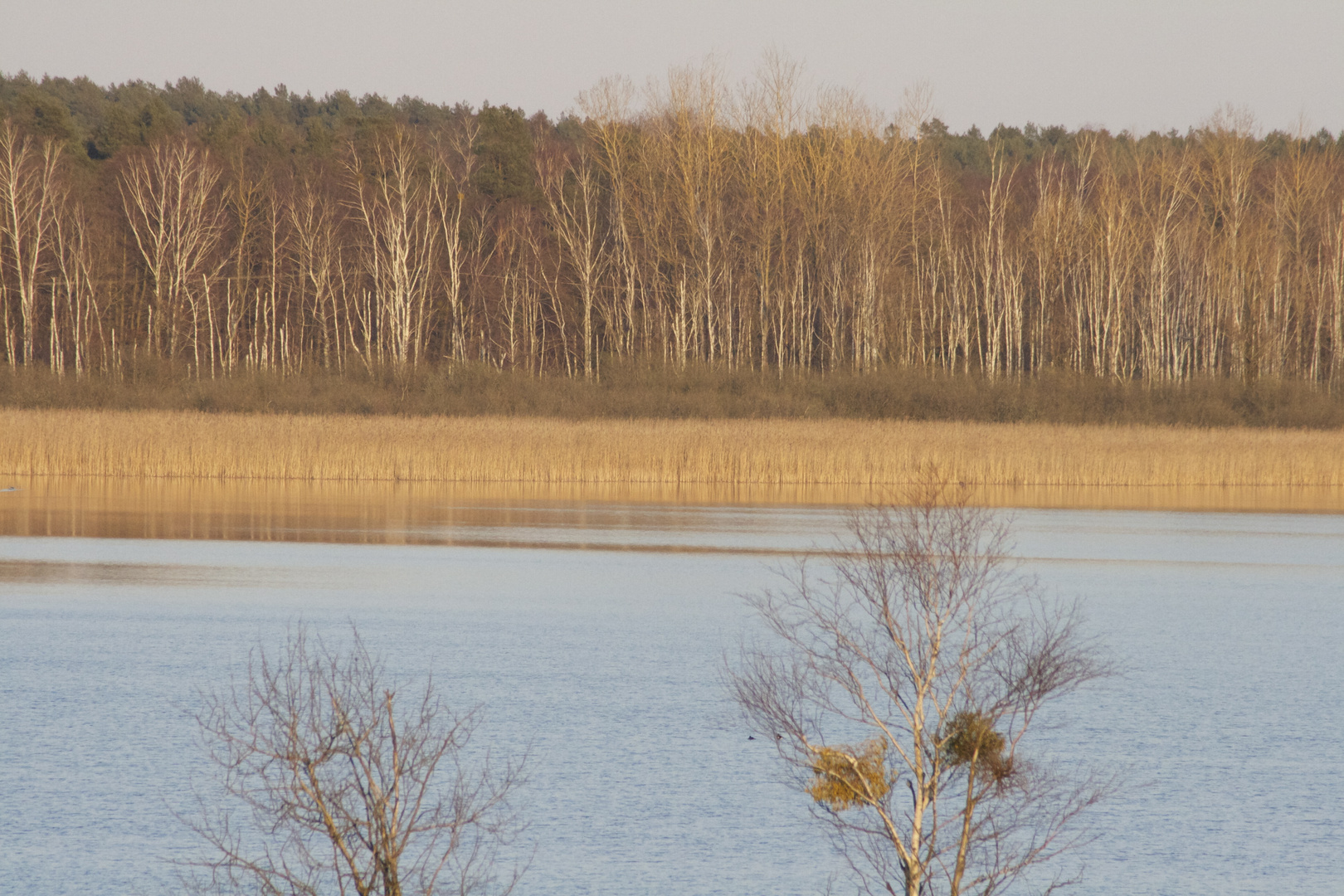 Mecklenburger Seenplatte