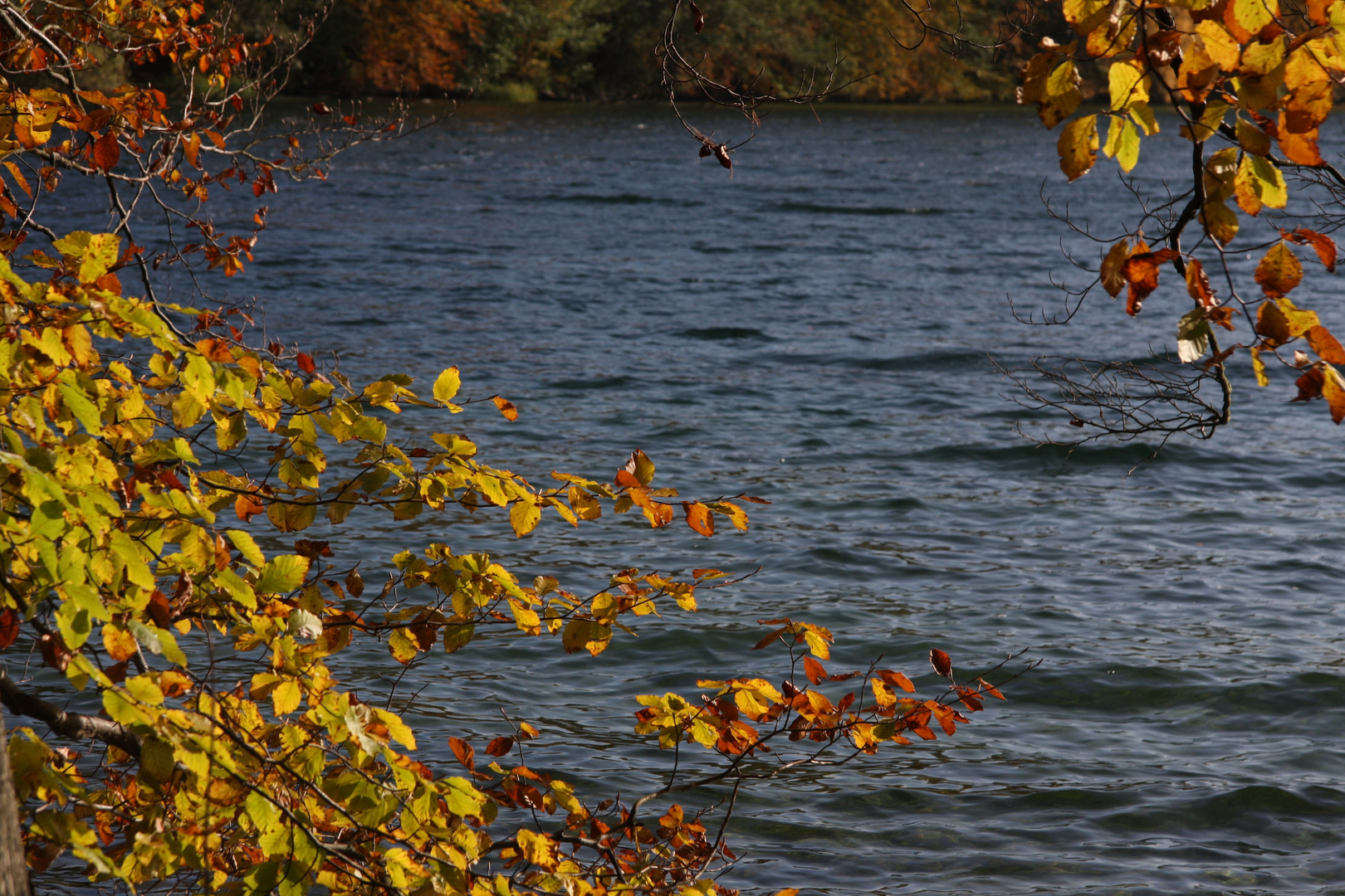 Mecklenburger Seenplatte