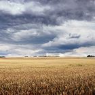 Mecklenburger Sommer