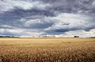 Mecklenburger Sommer von BlenderS 