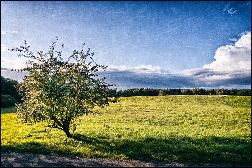 Mecklenburgische Ansichten #1