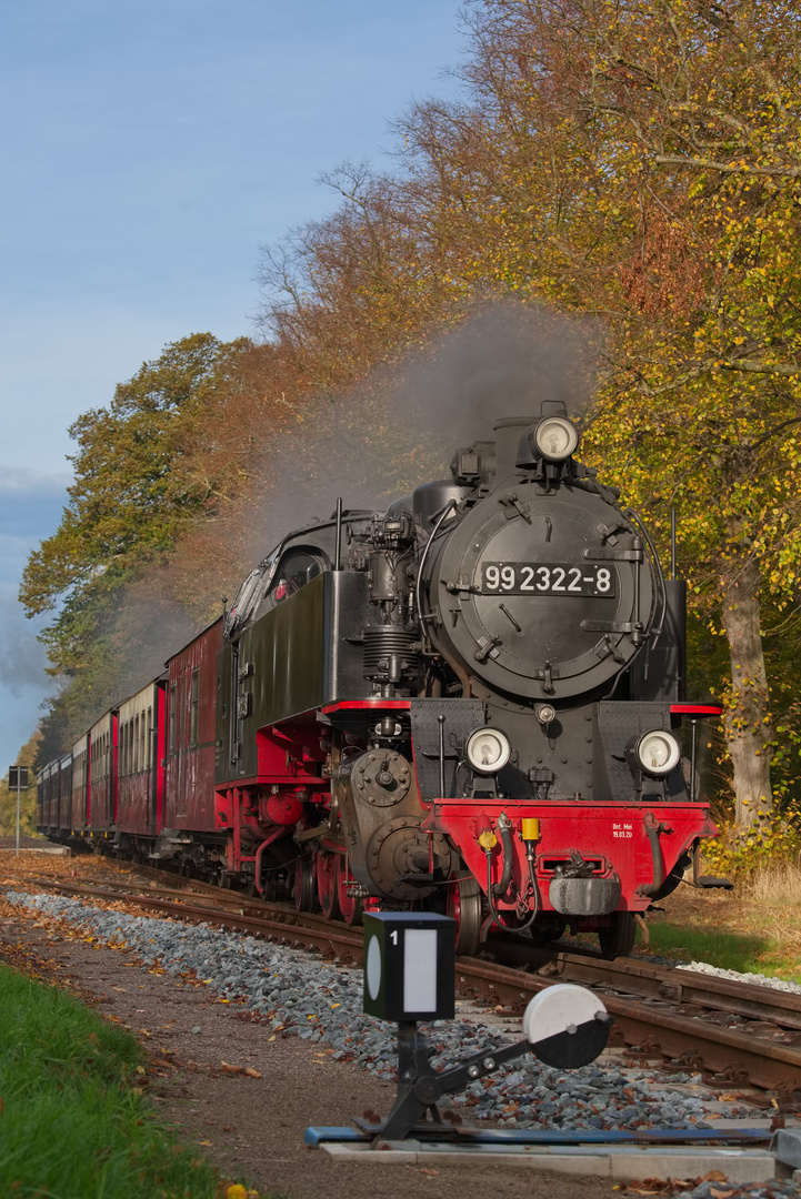 Mecklenburgische Bäderbahn Molli