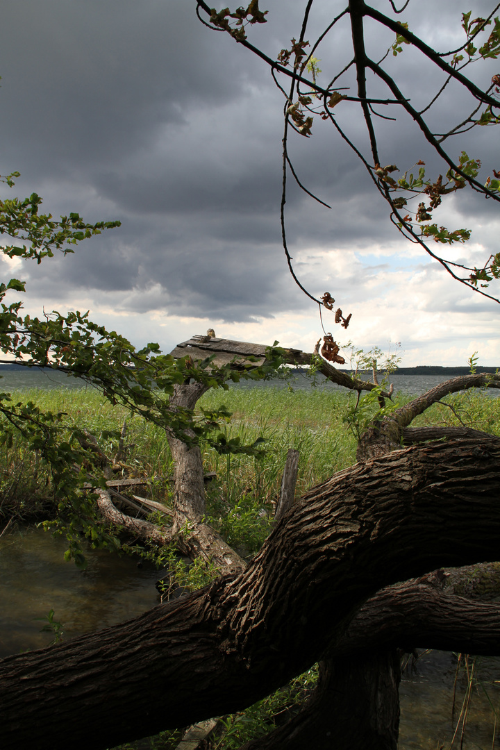 Mecklenburgische Seenplatte