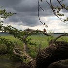 Mecklenburgische Seenplatte