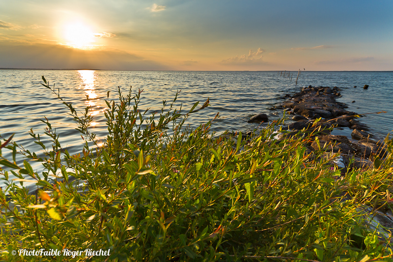 Mecklenburgische Seenplatte