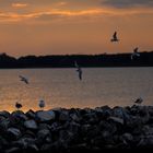 Mecklenburgische Seenplatte