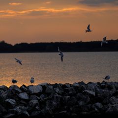 Mecklenburgische Seenplatte