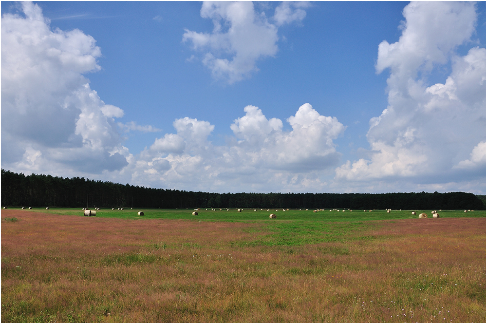 Mecklenburgische Seenplatte  -  Nähe Waren