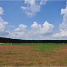 Mecklenburgische Seenplatte  -  Nähe Waren