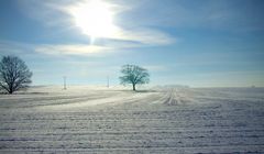 Mecklenburgische Winterlandschaft