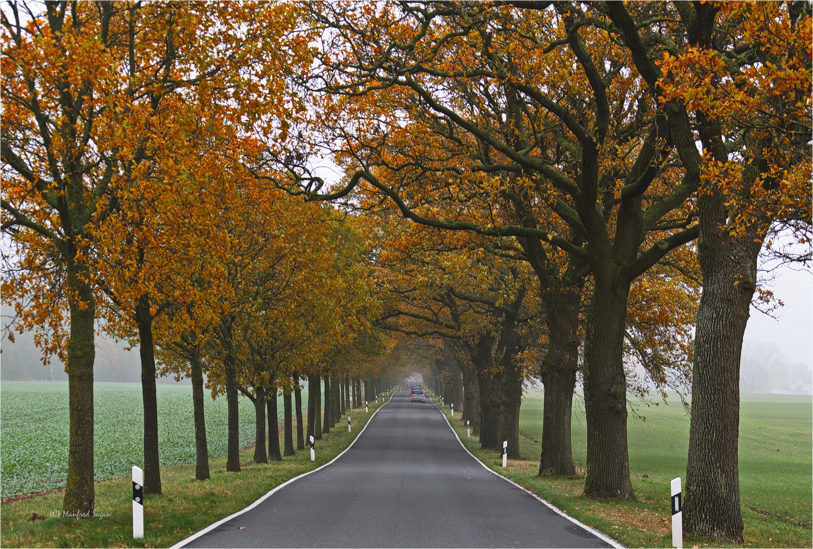 Mecklenburg/Vorpommern - Land der Alleenstraßen...