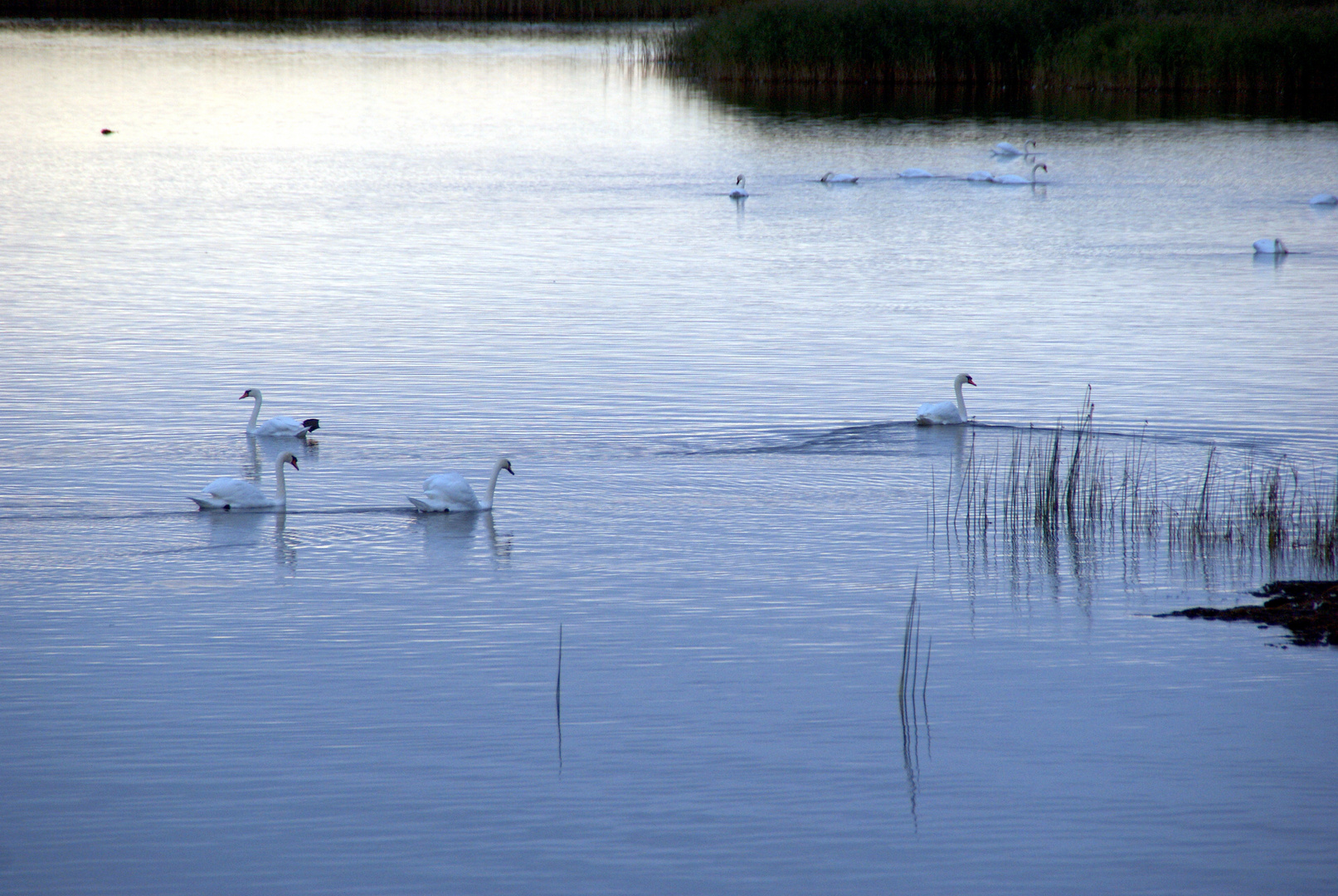 MecPom: Abendstimmung auf dem Barther Bodden ...