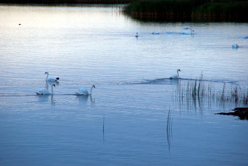 MecPom: Abendstimmung auf dem Barther Bodden ...