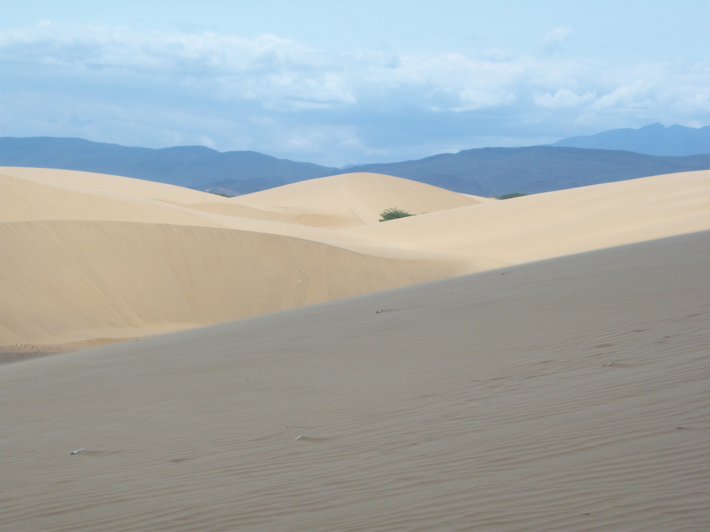 Medanos