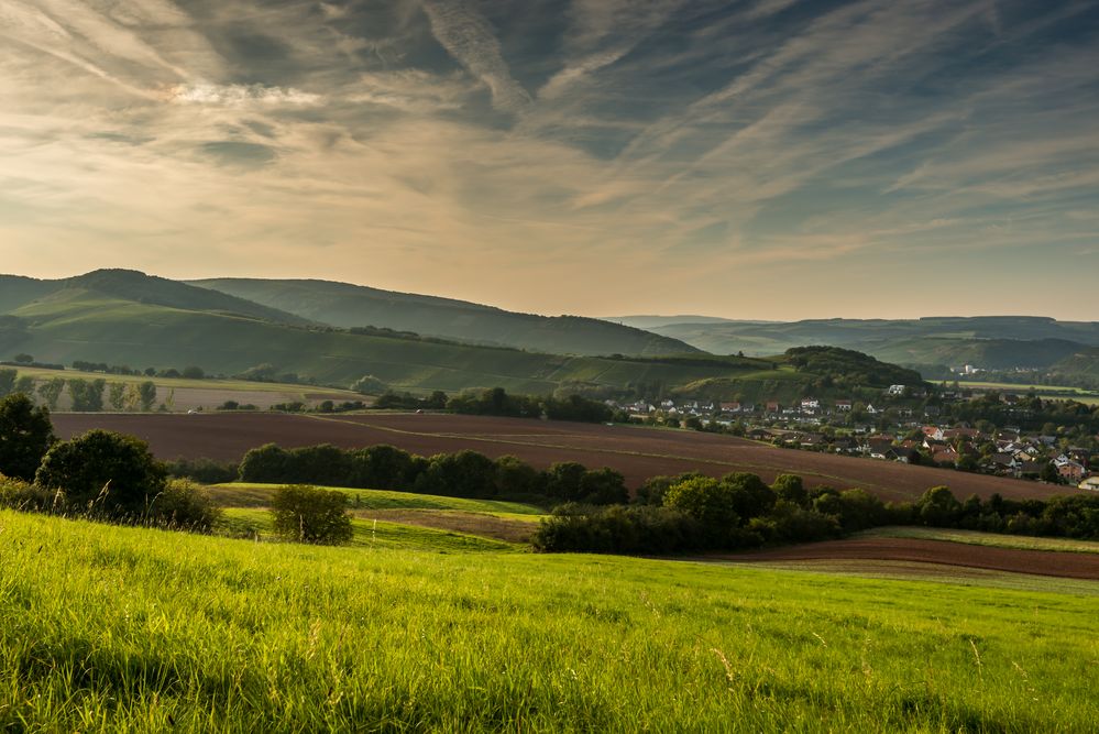 Meddersheim 7