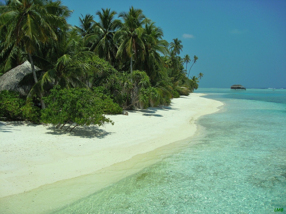 Medhufushi Island