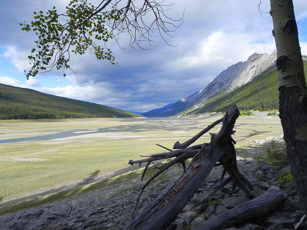 Medicine Lake (Maligne River)