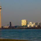 Medienhafen im Abendlicht vom Oberkassler Rheinufer