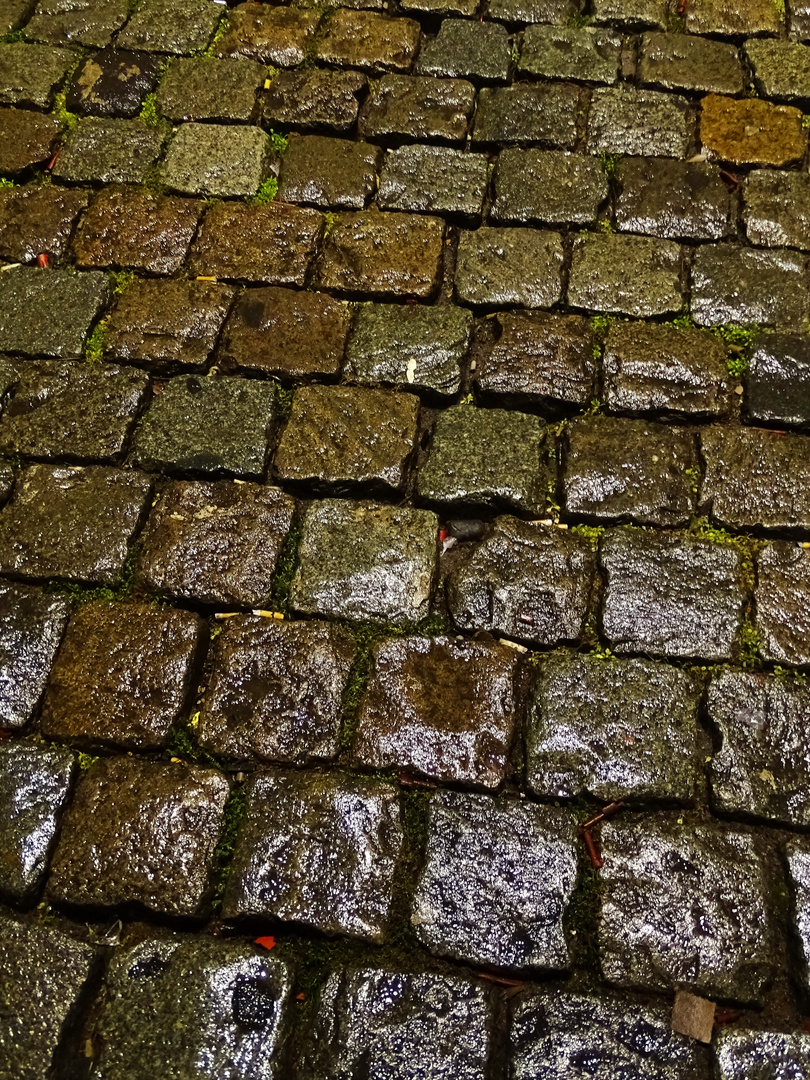 Medienhafen nachts im Regen