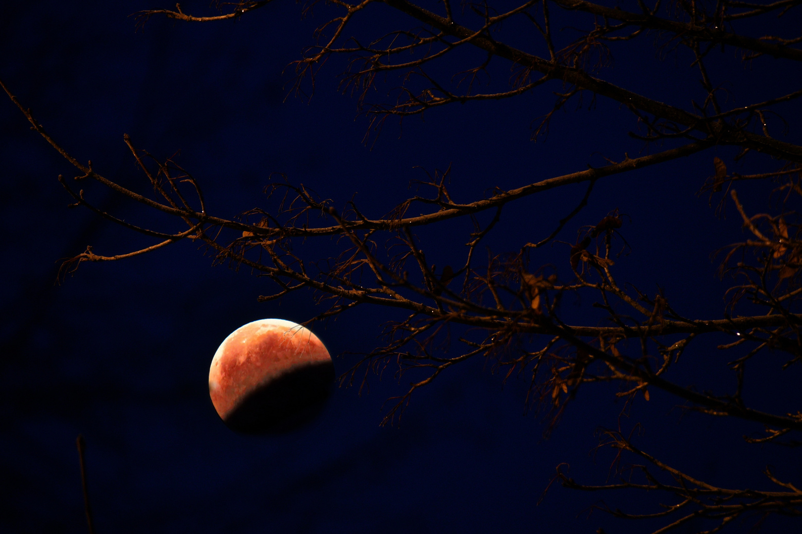 Medienhype Blutmond