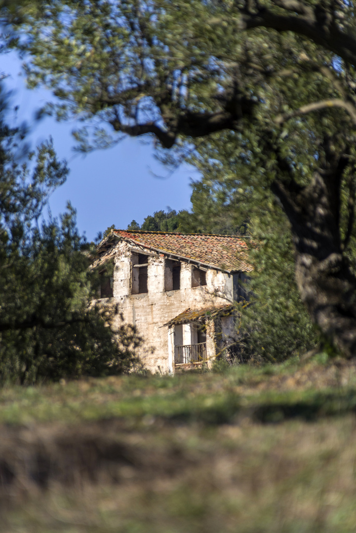 Medieval house