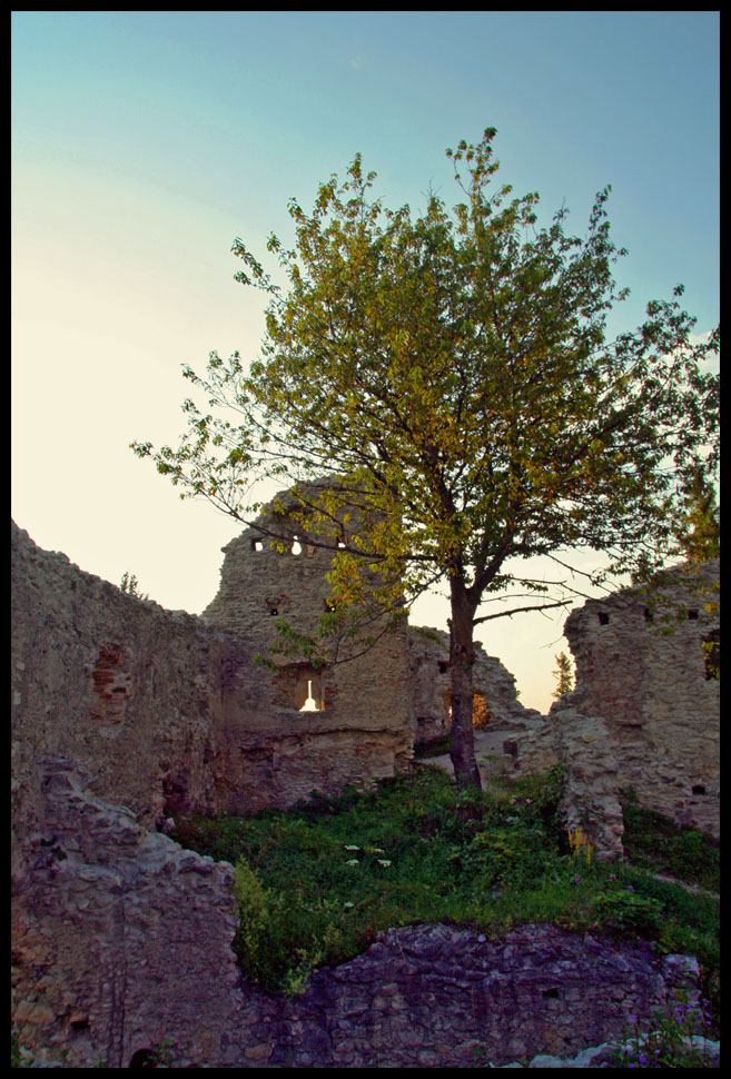 medieval tree