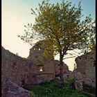 medieval tree