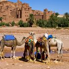 Medina Benhaddou Atlasgebirge