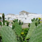 Medina Sidonia