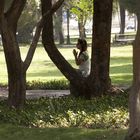 Meditando en el parque