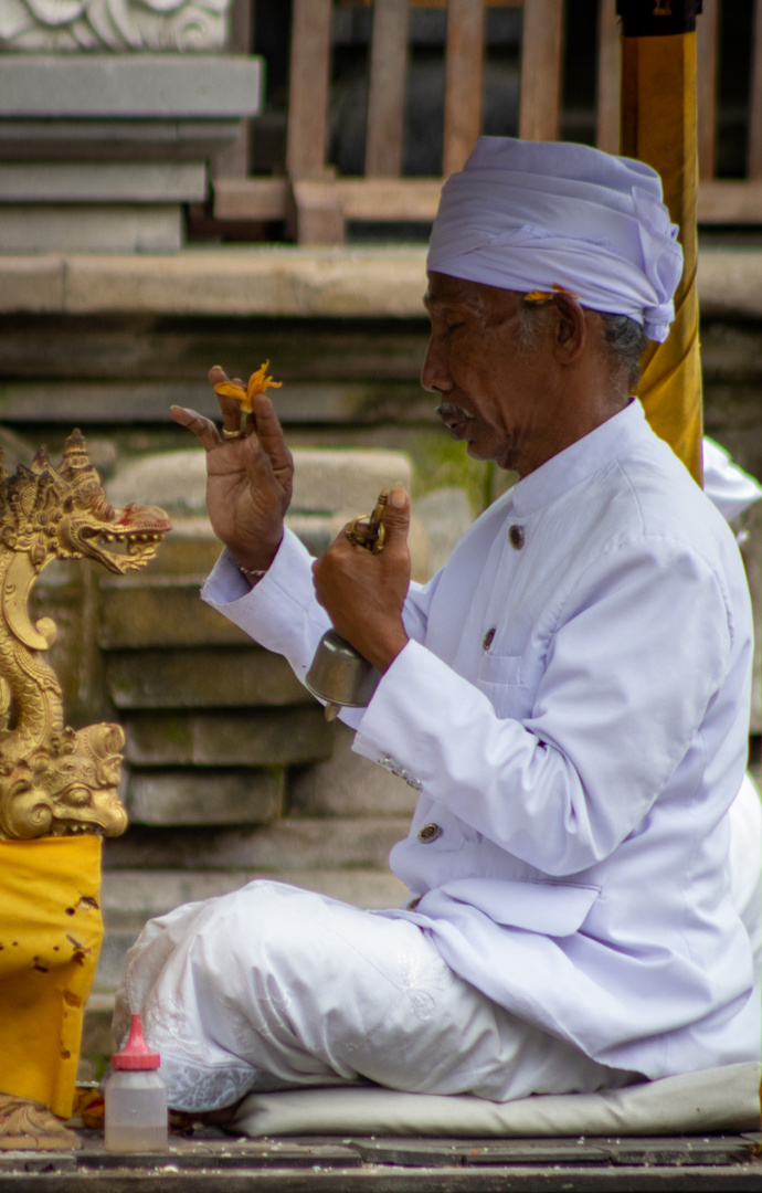 Meditate 