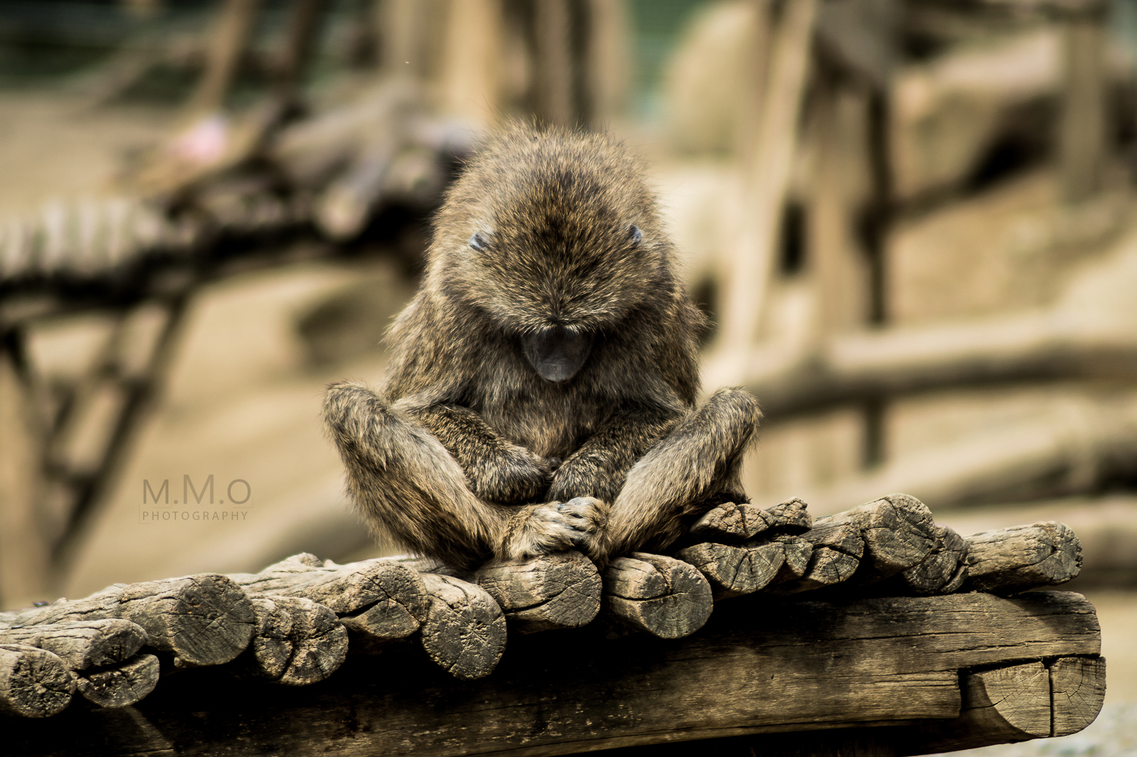 Meditation