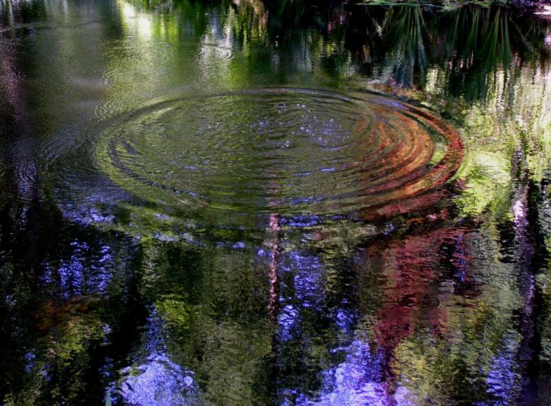 Meditation am Teich (3)