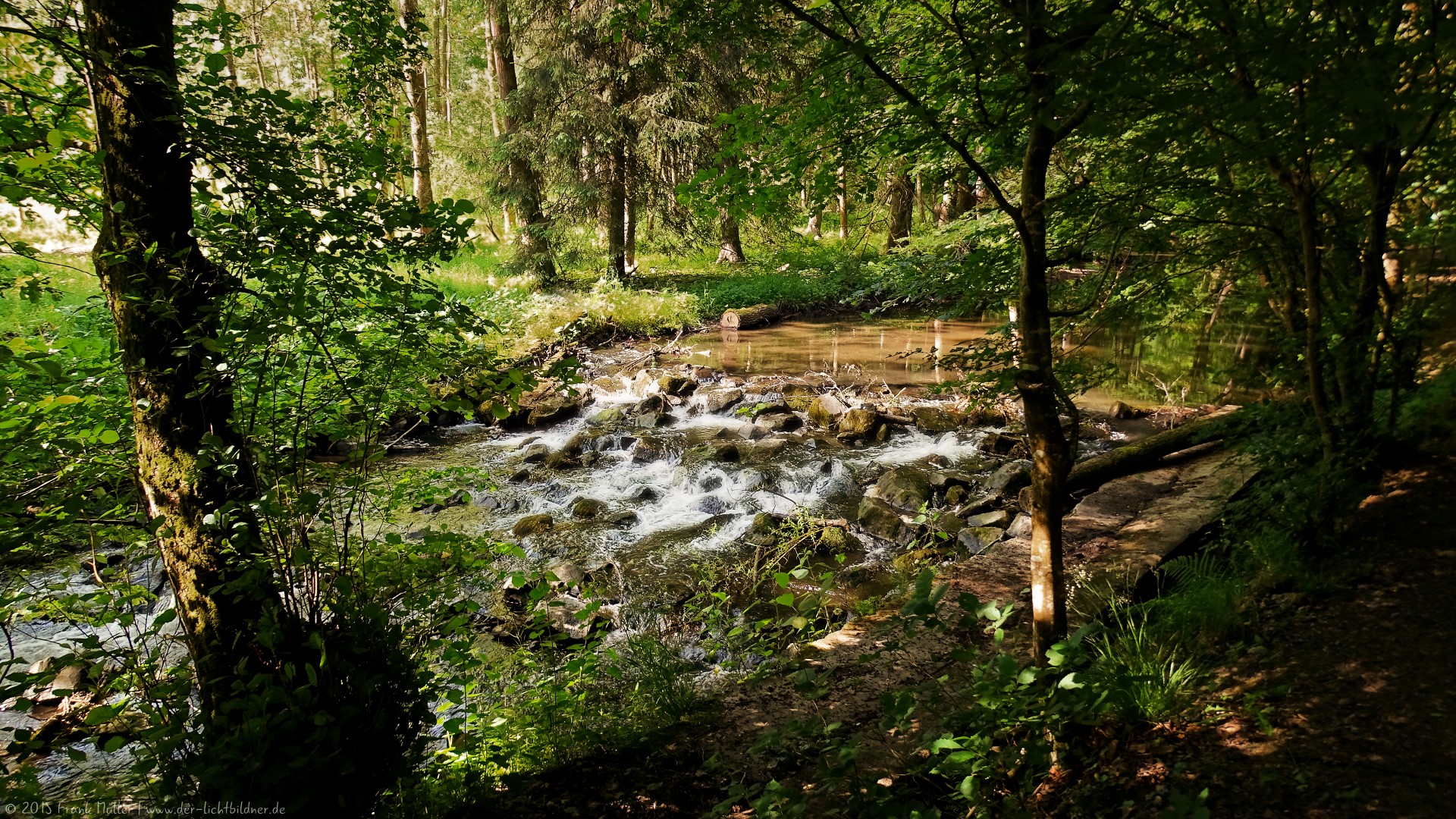 Meditation am Waldbach