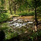 Meditation am Waldbach