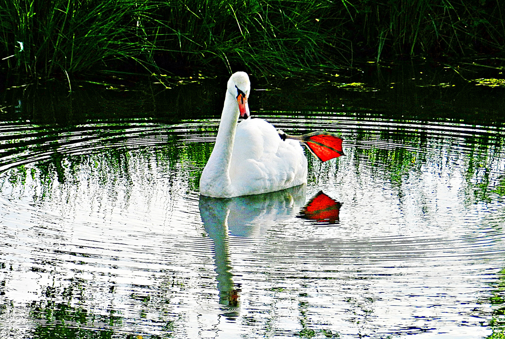 Meditation auf dem Wasser