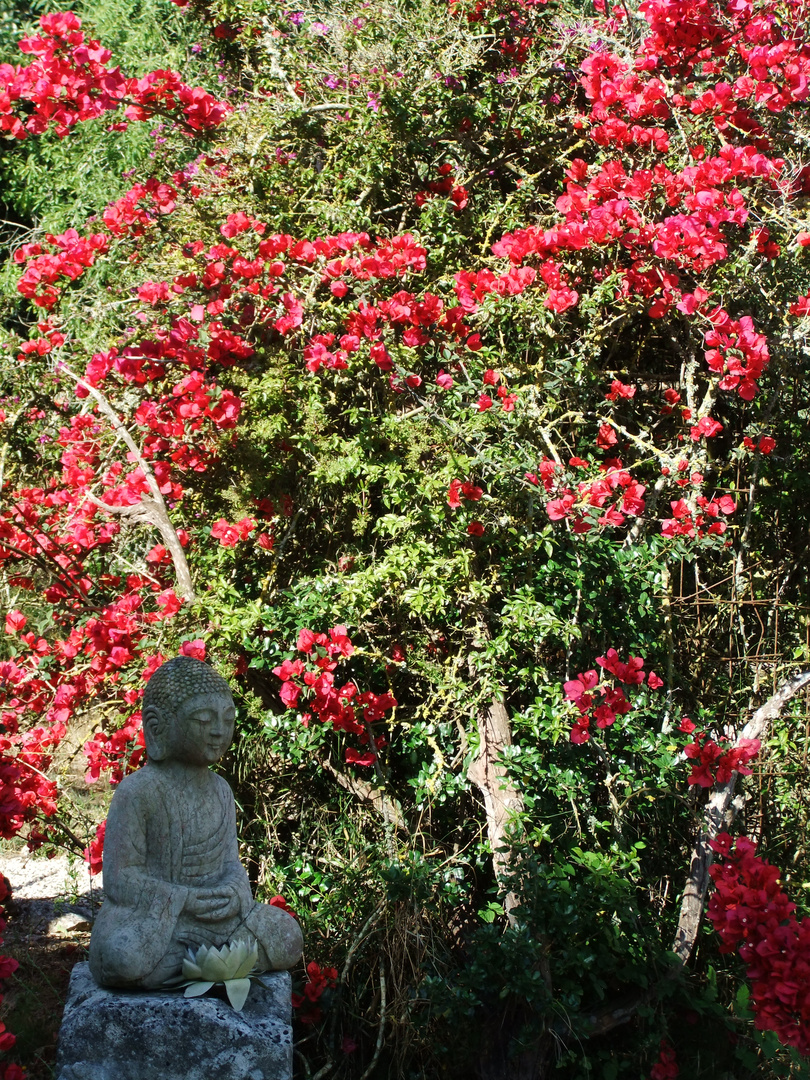 Meditation im Garten