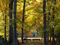 Meditation im Tiergarten