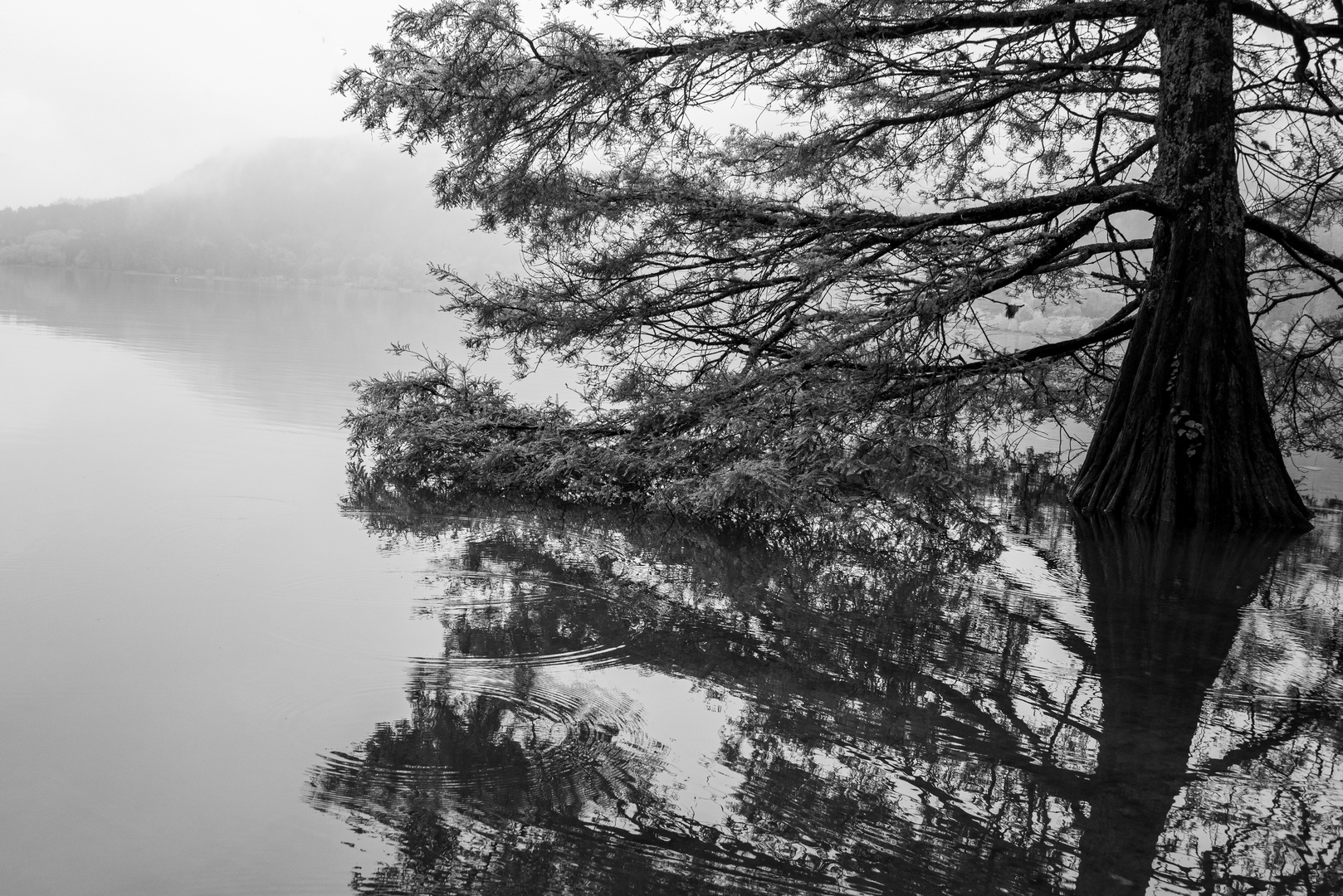 Meditation in Schwarz