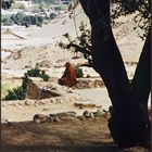 Meditation , Kloster Drepung, Lhasa , Tibet