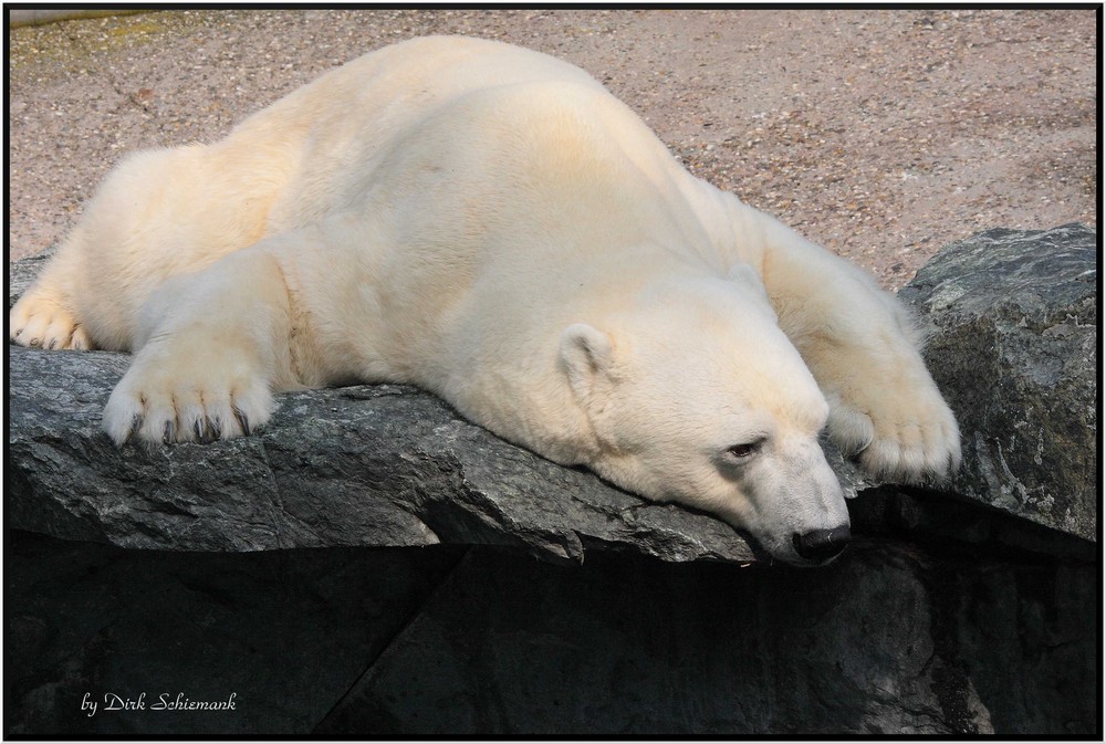 Meditation oder Yoga?