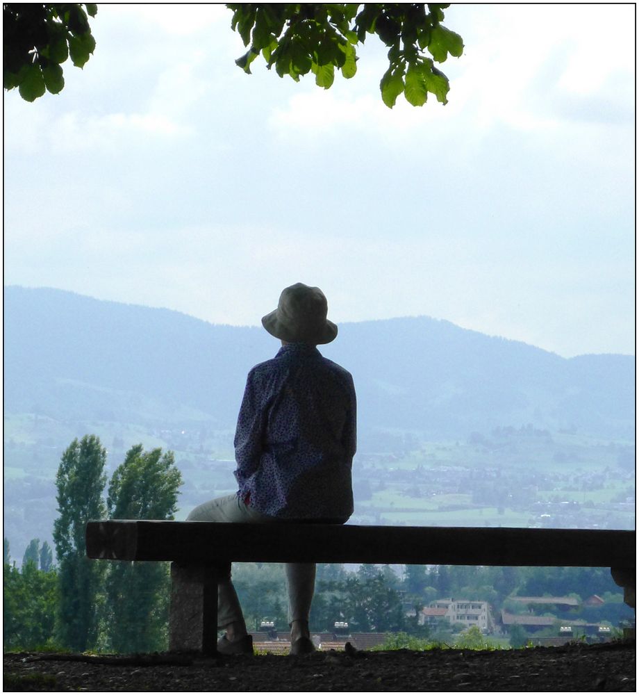 Meditation über dem Zürichsee