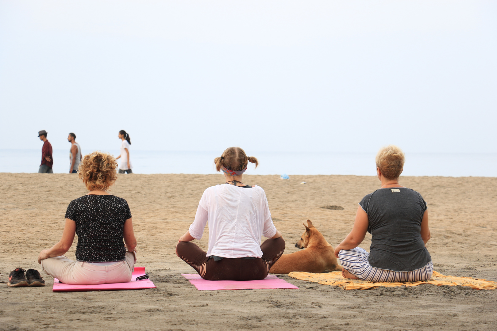 Meditation und ein Hund