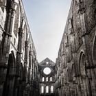 Meditazione a San Galgano