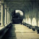       Meditazione!..